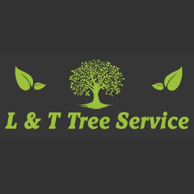 l-and-t image summit home
